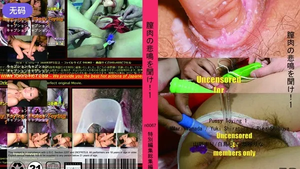 n0067 美女を泣かせて許しを乞うまで犯した初日 山田茉莉