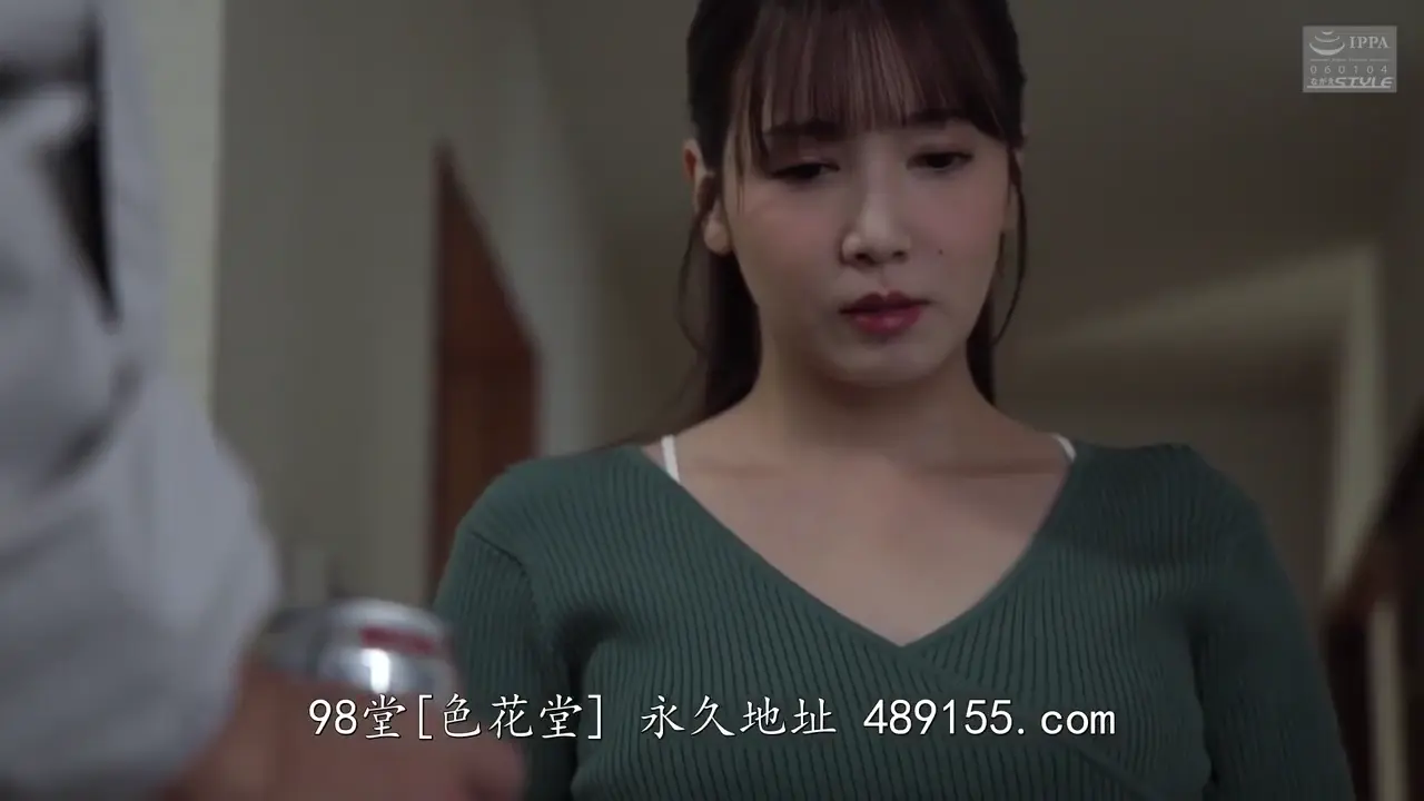 nsfs-480